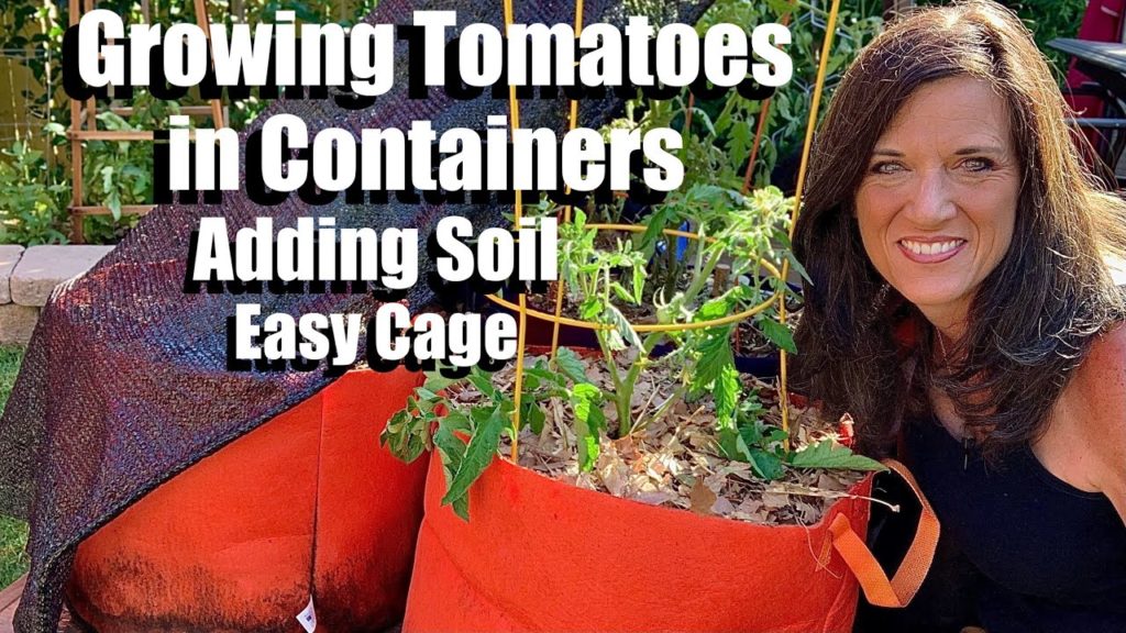 CaliKim: Growing Tomatoes in Containers – Adding Soil for More Roots, Easy Cage / Container Garden Series #4π
Growing Tomatoes in Containers - Adding Soil for More Roots, Easy Cage / Container Garden Series #4π