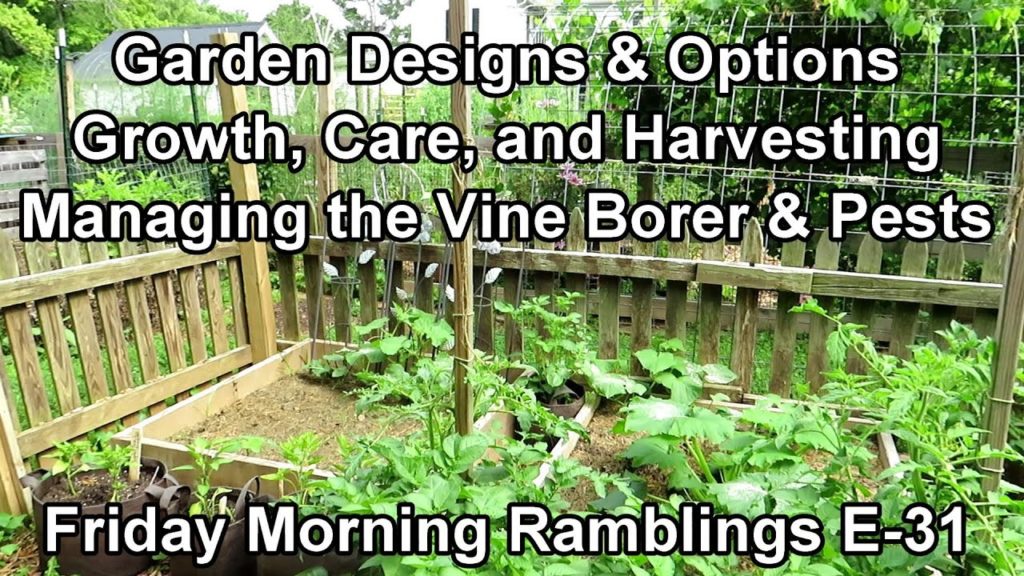 Gary Pilarchik: Vine Borer & Pest Management, Garden Sizes with Plants, Tips & Tour: My FM Garden Ramblings  E-31 Vine Borer & Pest Management, Garden Sizes with Plants, Tips & Tour: My FM Garden Ramblings  E-31