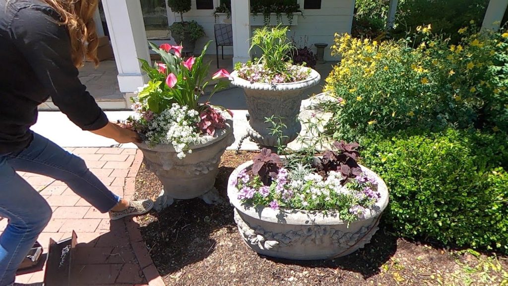 Feeling a Little Behind Planting My Home Containers! 🌿 // Garden Answer