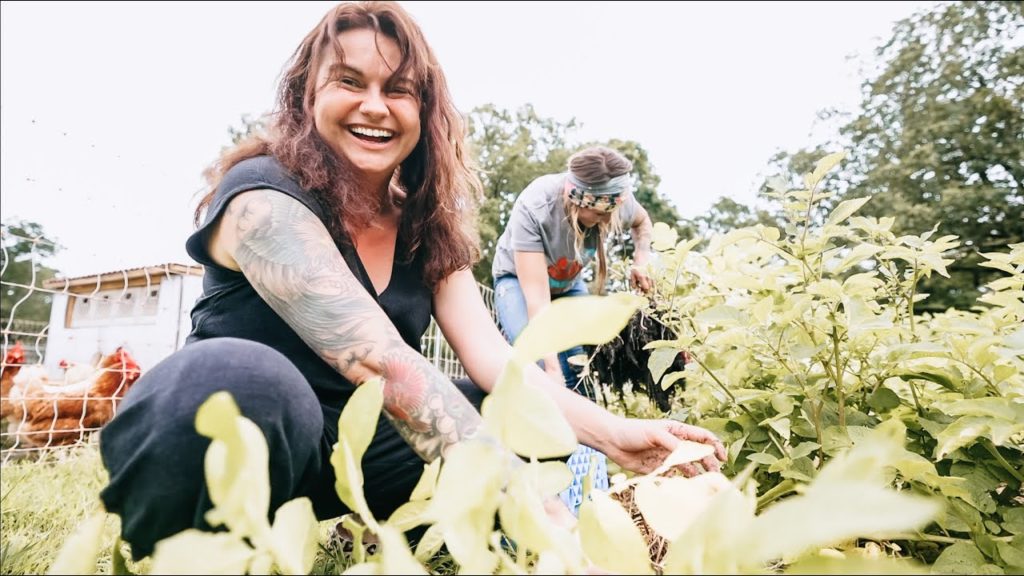 Roots and Refuge Farm: Distracted by Potatoes ( Garden Walk with Jess and Jill) | VLOG Distracted by Potatoes ( Garden Walk with Jess and Jill) | VLOG