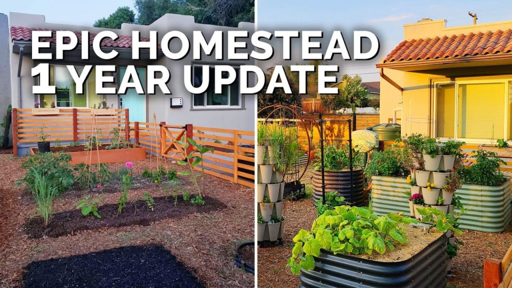 Epic Gardening: One Year Garden and Homestead Update! One Year Garden and Homestead Update!