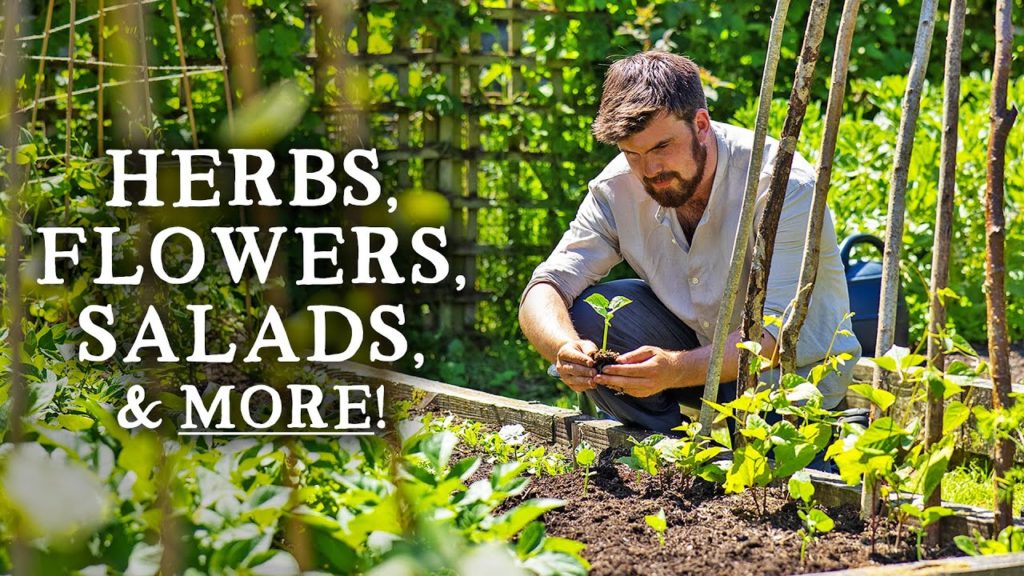 Huw Richards: What to Intercrop with Climbing Beans to Maximize Yields In Your Permaculture Garden What to Intercrop with Climbing Beans to Maximize Yields In Your Permaculture Garden