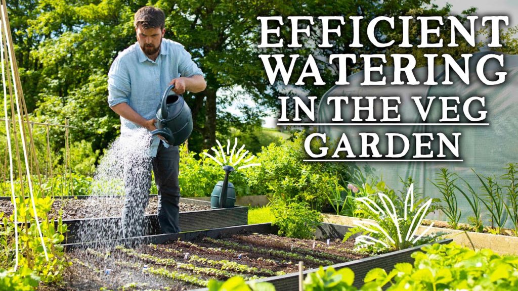 9 Watering Tips That Save a Ton of Time