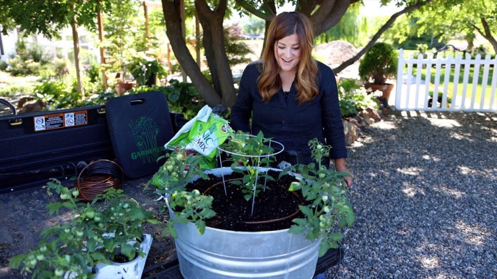 Garden Answer: Planting a Container Salsa Garden! 🌿🍅🌶// Garden Answer Planting a Container Salsa Garden! 🌿🍅🌶// Garden Answer