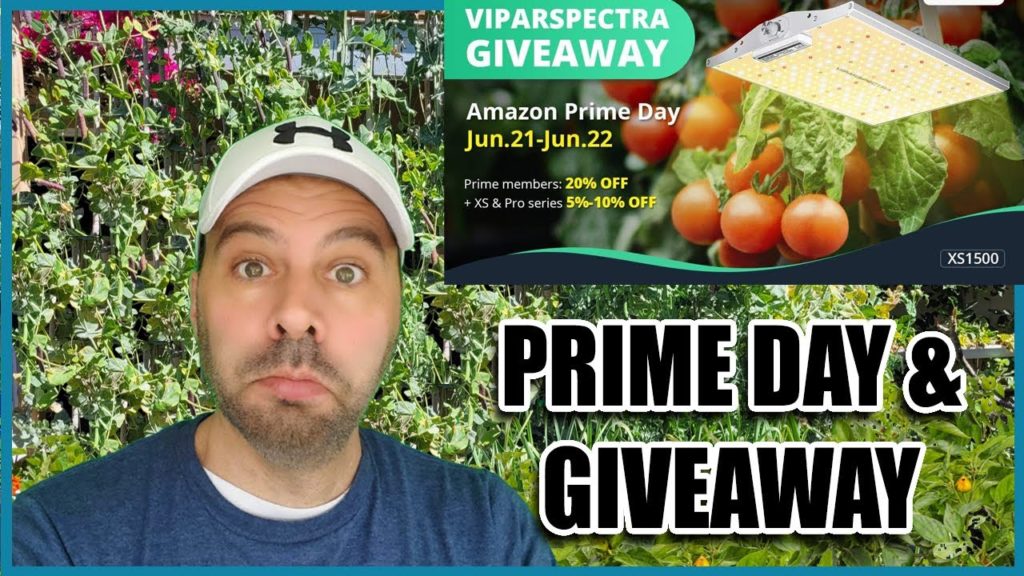 California Garden TV: HUGE Garden DISCOUNTS and Grow Light GIVEAWAY! HUGE Garden DISCOUNTS and Grow Light GIVEAWAY!