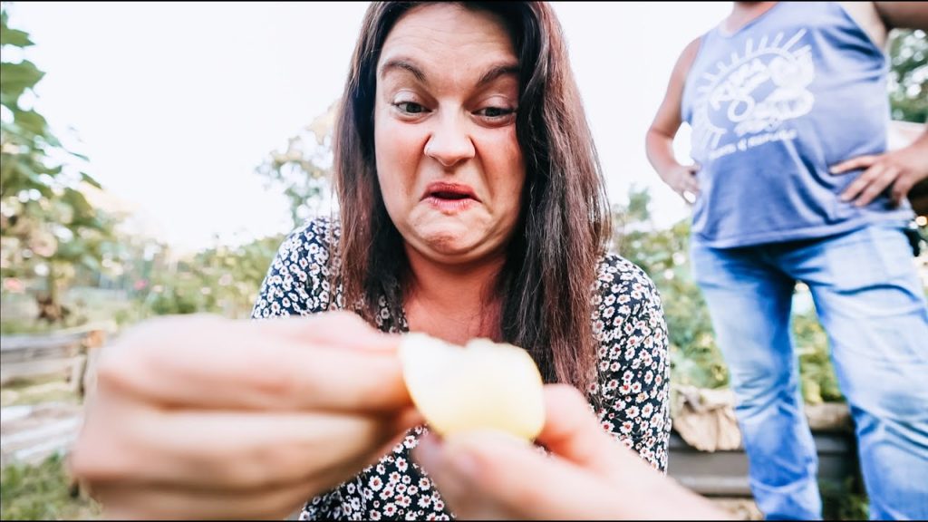 Roots and Refuge Farm: He almost ate this! (How tall ARE the sunflowers?) | VLOG He almost ate this! (How tall ARE the sunflowers?) | VLOG