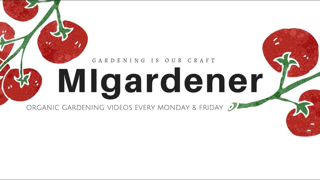MIgardener: Roots SHoots & Coffee EP. 27 The Pest Are Back In Town Roots SHoots & Coffee EP. 27 The Pest Are Back In Town