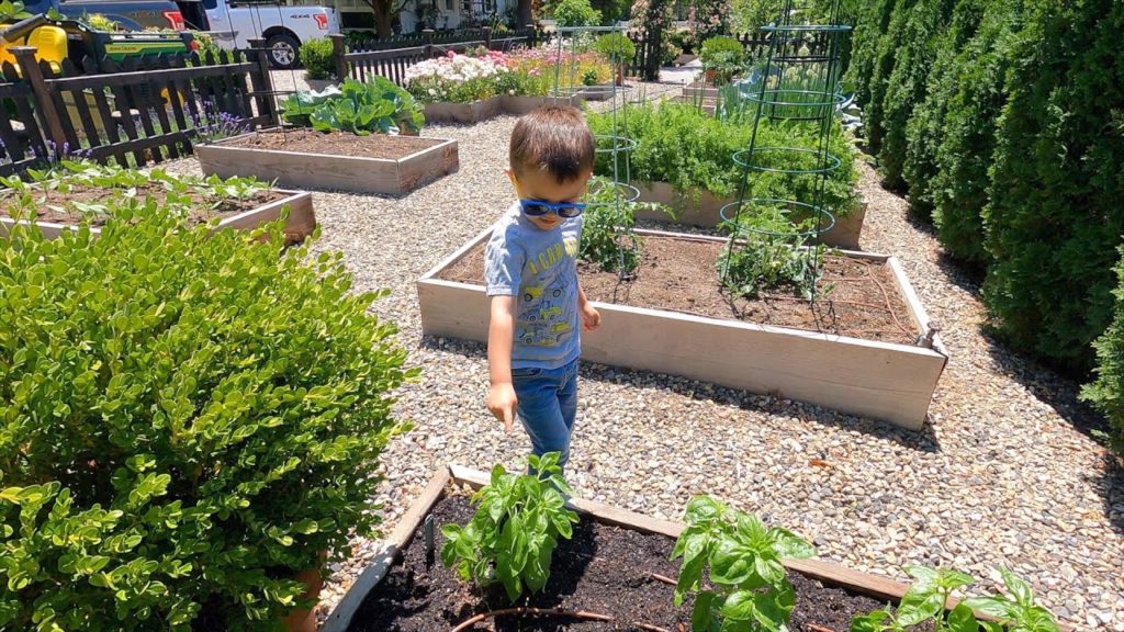 Garden Answer: Buttoning Up a Lot of Small Projects! 🌿🌸🌼 // Garden Answer Buttoning Up a Lot of Small Projects! 🌿🌸🌼 // Garden Answer