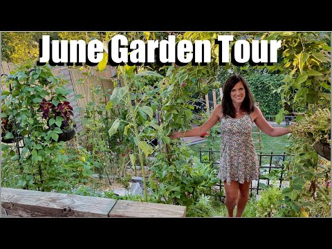 CaliKim: June Garden Tour π»π
π₯πΆπ June Garden Tour π»π
π₯πΆπ