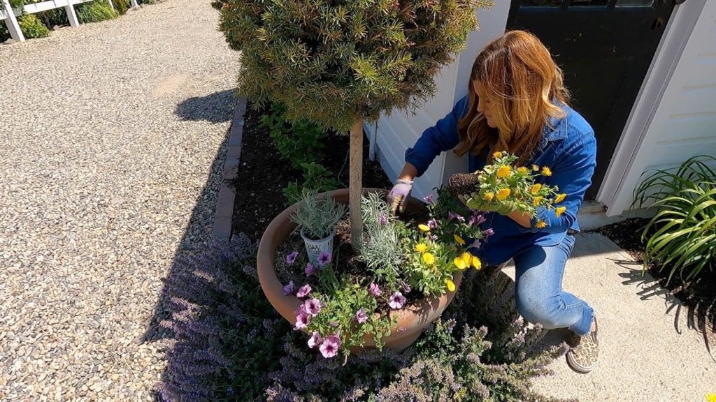 Garden Answer: Tying Up Loose Ends Around the Chicken Coop! 🌿🌸🌼 // Garden Answer Tying Up Loose Ends Around the Chicken Coop! 🌿🌸🌼 // Garden Answer