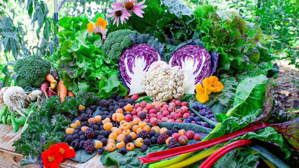 Ultimate Backyard Gardening Harvest, This is Why I Grow My Own Food!