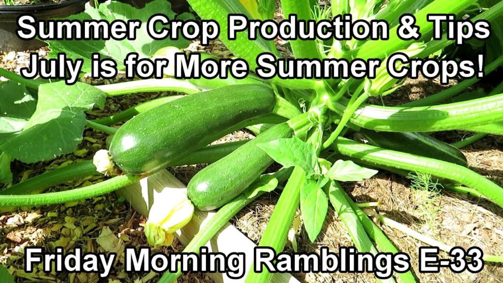 Gary Pilarchik: Cukes & Zukes Are Here!, Plant Summer Crops in July Too & New Projects: My FM Garden Ramblings E-33 Cukes & Zukes Are Here!, Plant Summer Crops in July Too & New Projects: My FM Garden Ramblings E-33