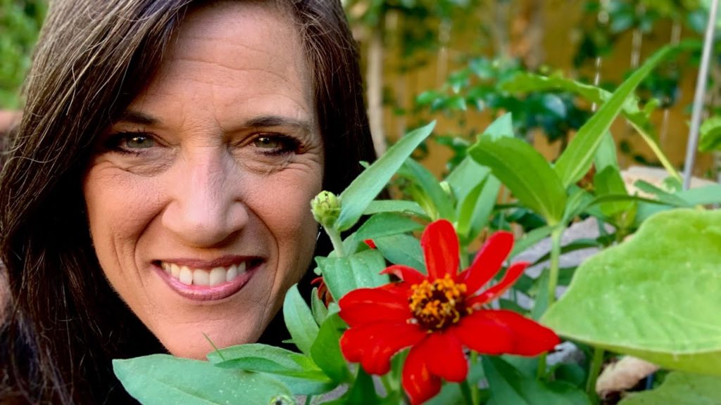 🌺 Live: How to Grow Zinnias All Summer Long to Bring in the Pollinators 🌞🐝🦋