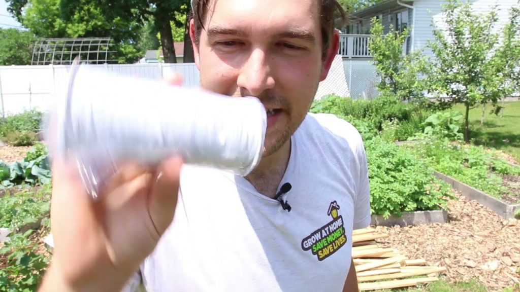 Single Stemming our Mess of Tomatoes