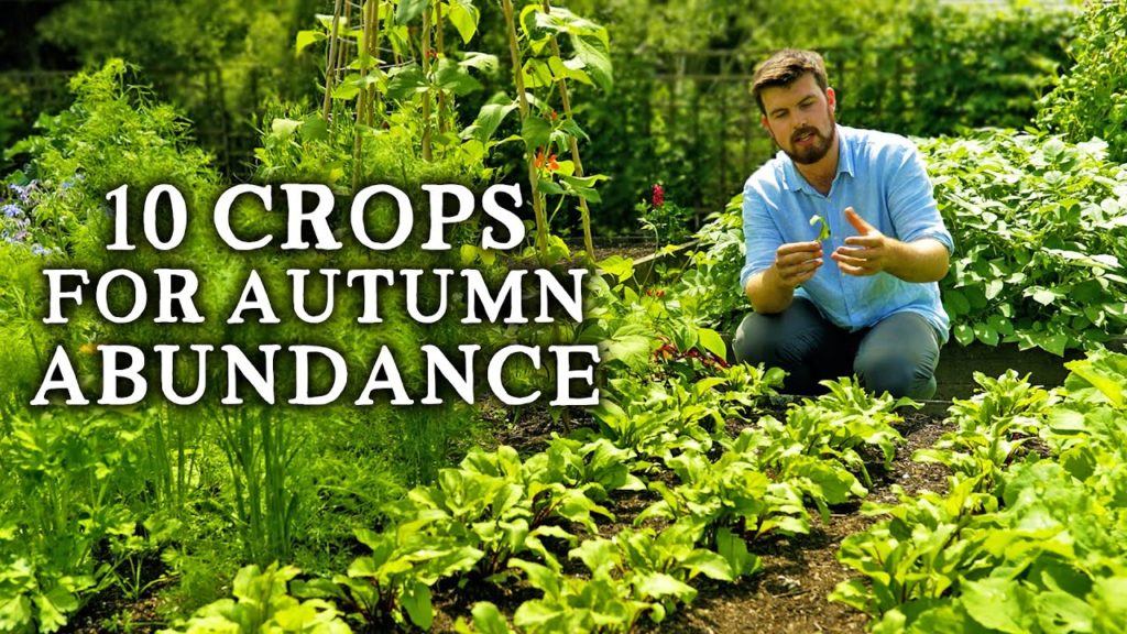 Huw Richards: The 10 Most Productive Crops to Sow in July The 10 Most Productive Crops to Sow in July