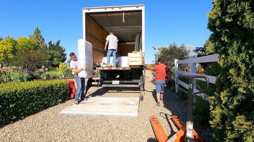 Watering Plants & The Arrival of Our Glass Greenhouse!!! 🙌💃🤸‍♀️💚 // Garden Answer
