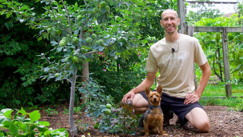 Early Summer Garden Tour | Apples, Grapes, Tomatoes, and More!