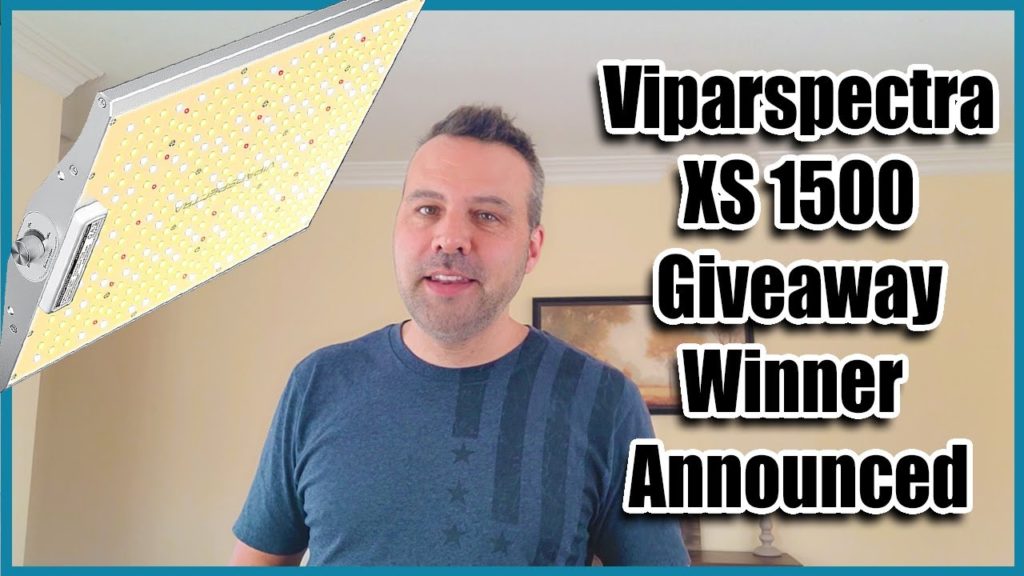 And the Winner Is...