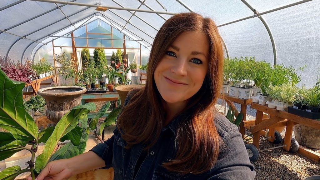 Fiddle Leaf Fig Cutting Update + Potting Up New Citrus, Papaya & Hardy Fig! 🍊🌿💜 // Garden Answer