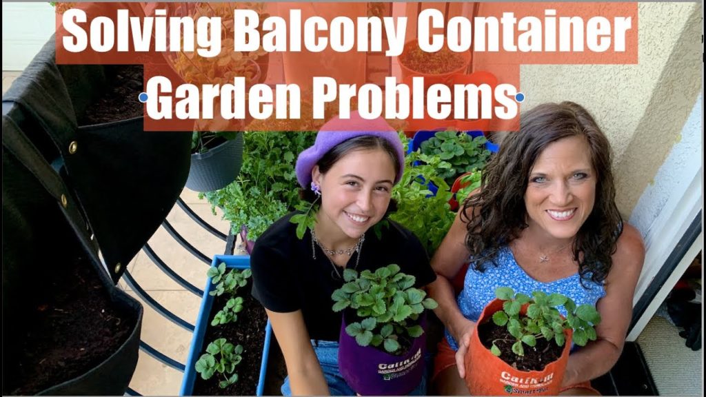 CaliKim: Solving A First Time Gardener’s Balcony Container Garden Problems / Container Garden Series #5🌱☀️ Solving A First Time Gardener’s Balcony Container Garden Problems / Container Garden Series #5🌱☀️