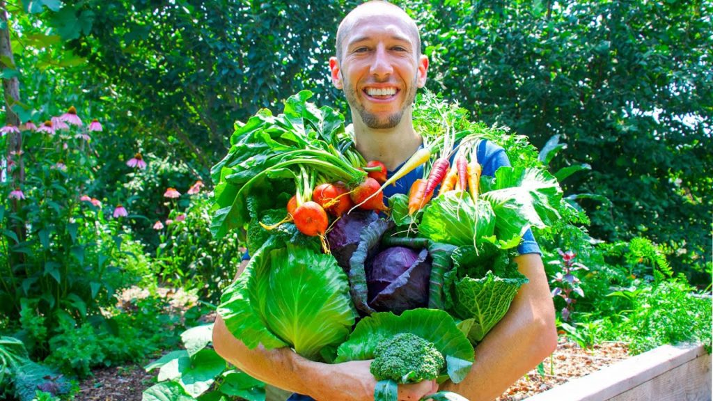 James Prigioni: Summer Garden Harvest, Sustainable Permaculture Gardening Summer Garden Harvest, Sustainable Permaculture Gardening