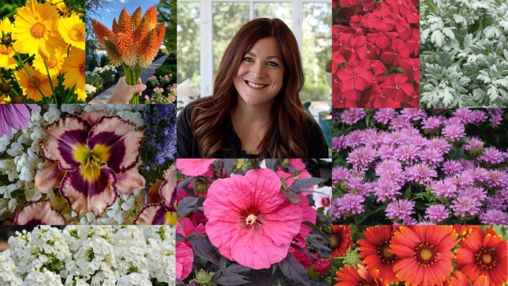15 Perennials that Love the Heat! ☀️💚🔥 // Garden Answer