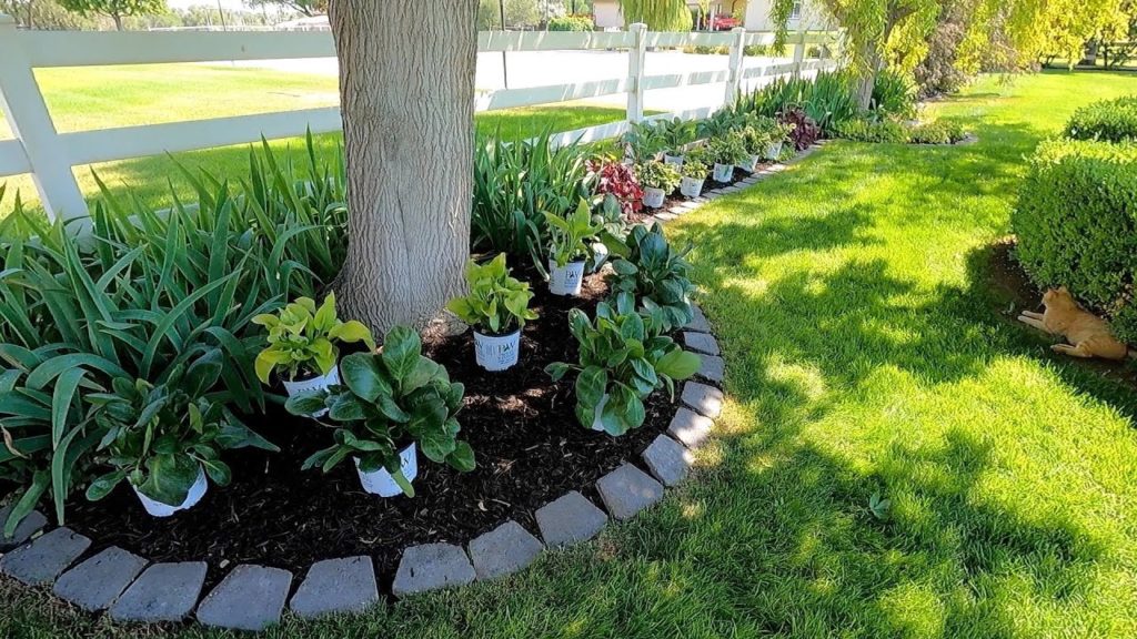 Garden Answer: Planting a Shady Border! 💚🌿💚 // Garden Answer Planting a Shady Border! 💚🌿💚 // Garden Answer
