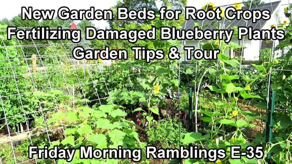 New Garden Beds, Chore Time Management, Saving Blueberries, Tips & Tour: My FM Garden Ramblings E-35