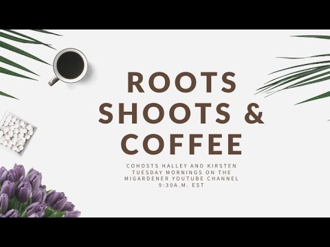 MIgardener: Roots Shoots & Coffee EP. 30 –  Propagation Ins & Outs Roots Shoots & Coffee EP. 30 -  Propagation Ins & Outs