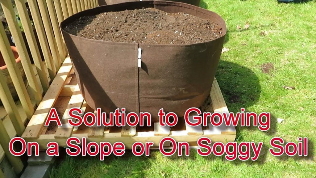 Gary Pilarchik: How to Use Fabric Pots & Pallets to Fix Garden Sloping & Water Issues: Garden Designs & Ideas E-3 How to Use Fabric Pots & Pallets to Fix Garden Sloping & Water Issues: Garden Designs & Ideas E-3