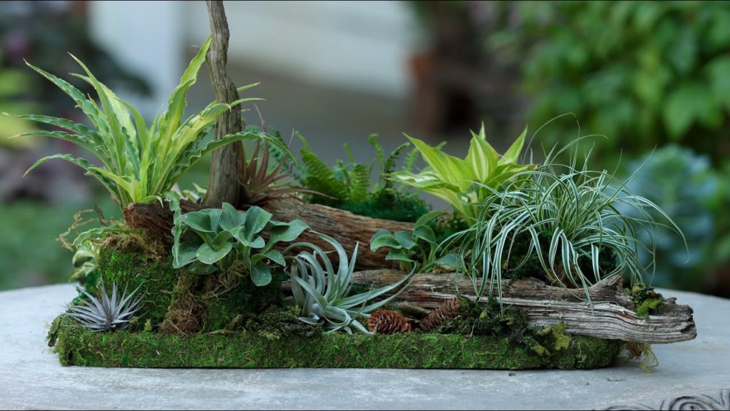 Miniature Woodland Tabletop Garden! 🥰🌿💚 // Garden Answer