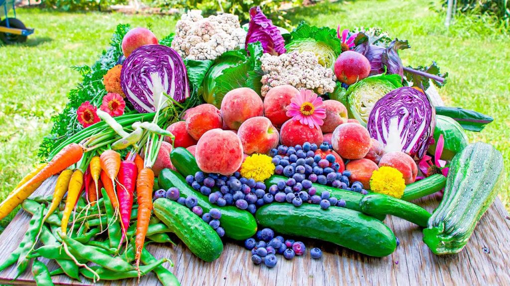 James Prigioni: Quick Summer Garden Harvest, Organic Peaches and Apples in a Suburban Backyard Quick Summer Garden Harvest, Organic Peaches and Apples in a Suburban Backyard