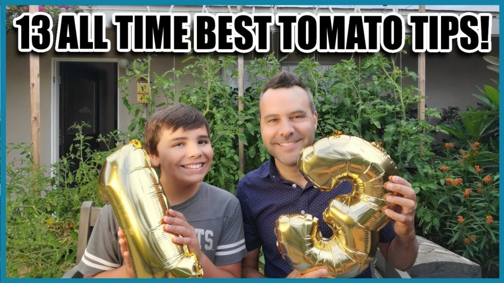 How to Grow Tomatoes.  My 13 All Time BEST TIPS!