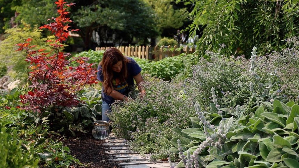 Planting Spruce Trees & Making Borage Cocktails with My Mom! 😁🍸🌲 // Garden Answer