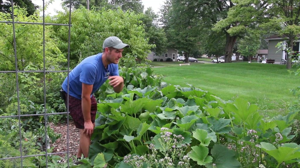 This Increased 3X The Yields! (GAME CHANGER)