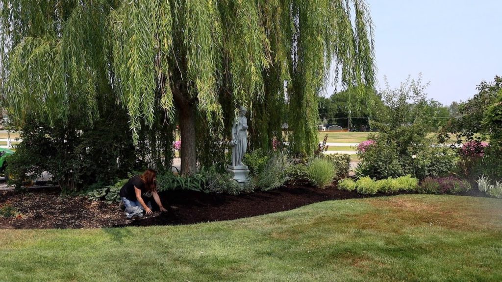 Garden Answer: Making This Flower Bed Look WAY Better! ✂️🌳☺️// Garden Answer Making This Flower Bed Look WAY Better! ✂️🌳☺️// Garden Answer