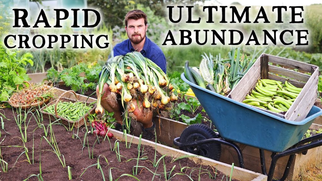Maximize Harvests in Your Veg Garden with RAPID Succession Planting This Summer