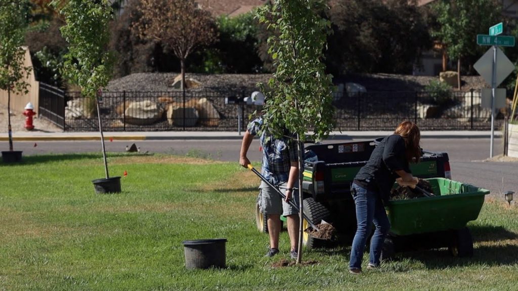 Planting a Row of Maple Trees at Our Neighbors House! 🌳🌳🌳 // Garden Answer