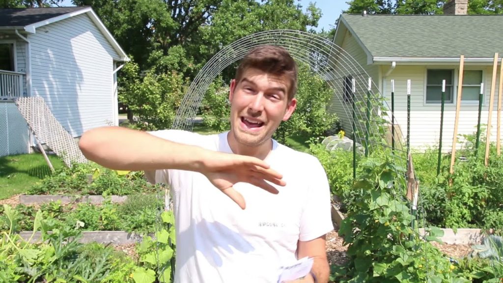 How to Stagger Plant For A Continuous Harvest Year-Round