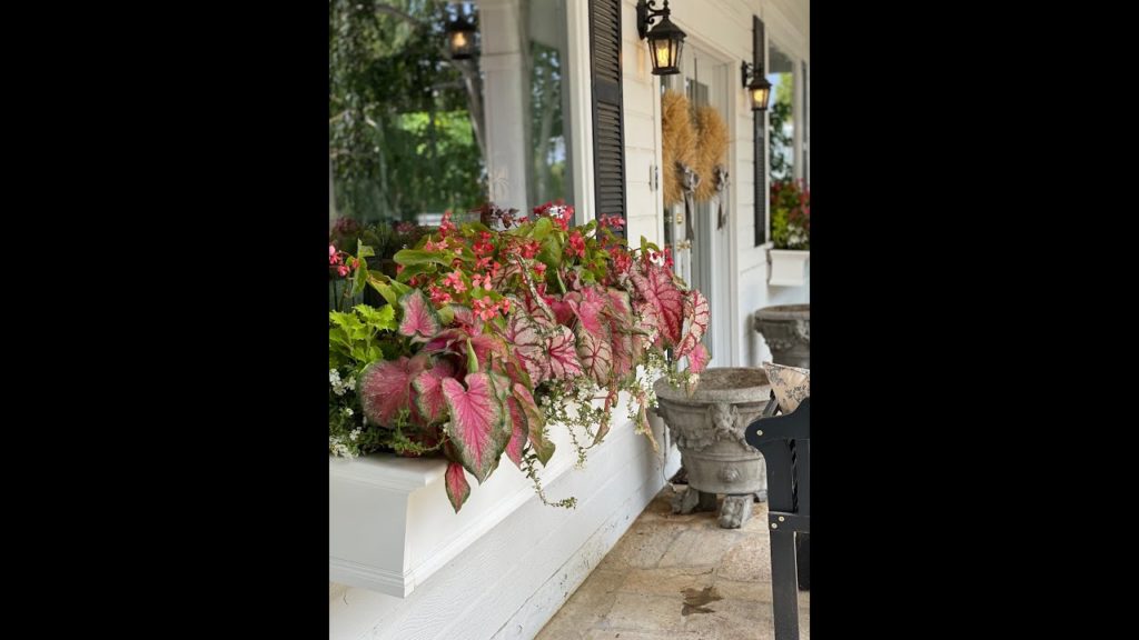 Colorful Window Box Planting! 🌸🌿