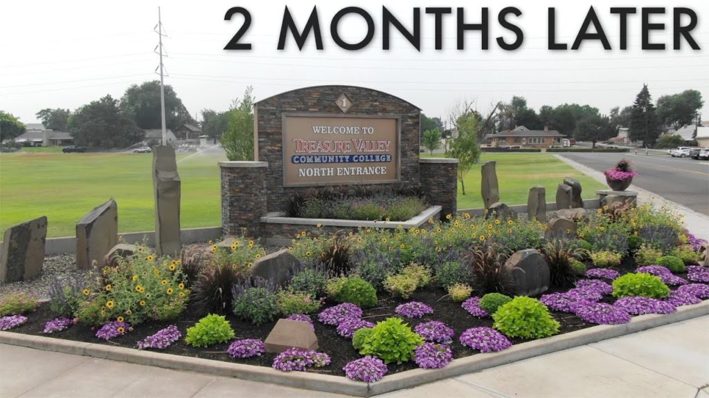 Garden Answer Highlights: Planting a Large Flower Bed + Results! 🌸🌼🌺 Planting a Large Flower Bed + Results! 🌸🌼🌺