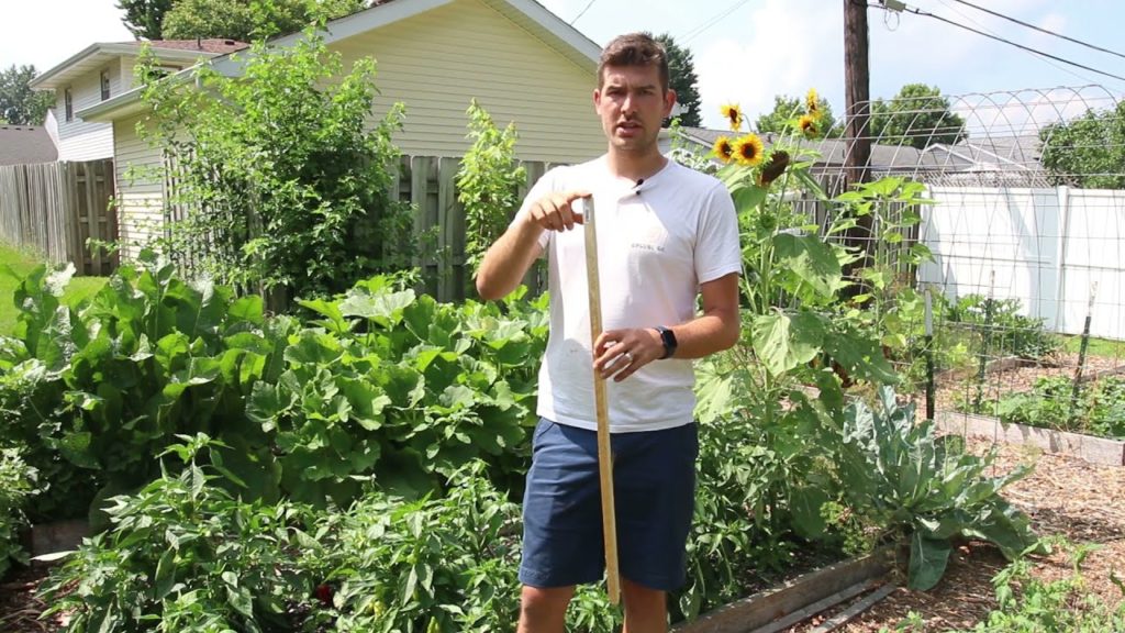 Do We Stake Peppers? How We Support Our Plants