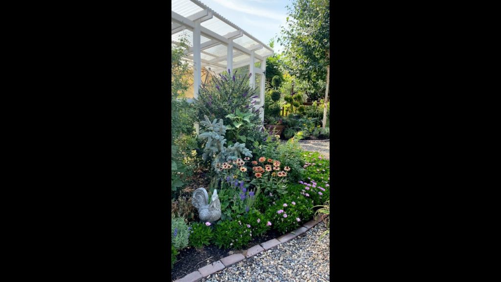 Quick Tour of The Chicken Coop Garden! 🌿🌸