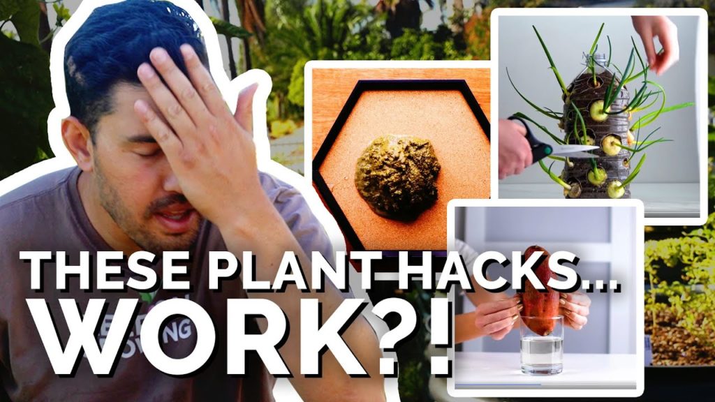 Epic Gardening: Gardener Reacts to "Plant Hacks" That…Actually Work?! Gardener Reacts to "Plant Hacks" That...Actually Work?!