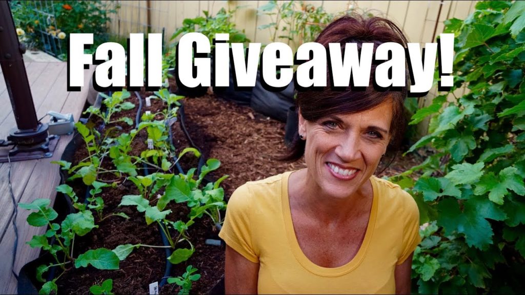 CaliKim: Fall Garden Series GIVEAWAY! Fall Garden Series GIVEAWAY!