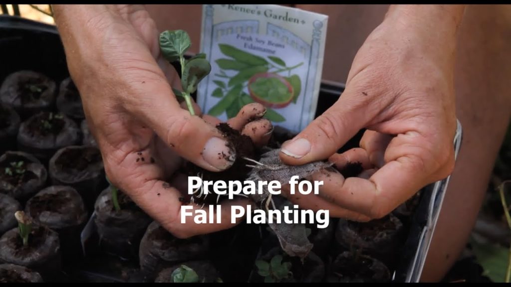 Plan Now For A Continual Harvest and Fall Planting