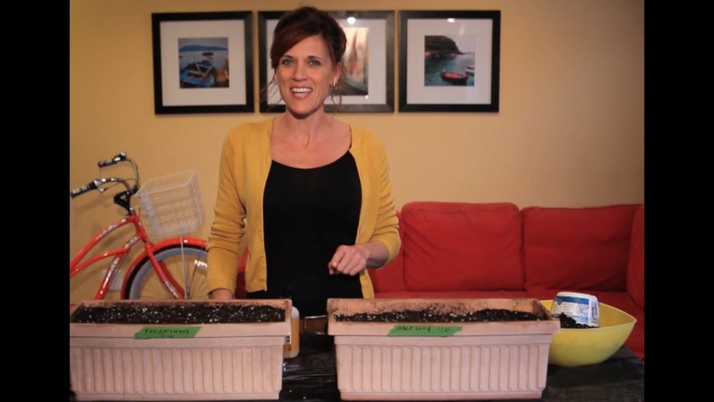 CaliKim: How to Plant Carrots in a Container How to Plant Carrots in a Container