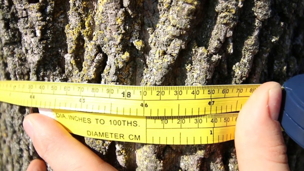 This Weird Tool Will Change How You Measure Diameter Forever