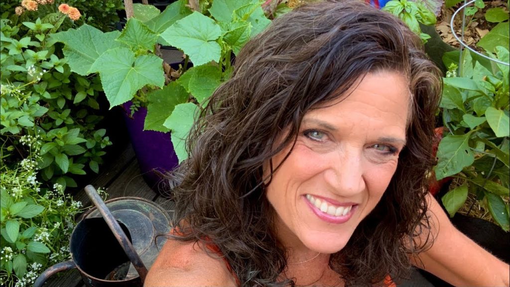 ☀️LIVE: What to do In the Garden In August? (REPLAY)