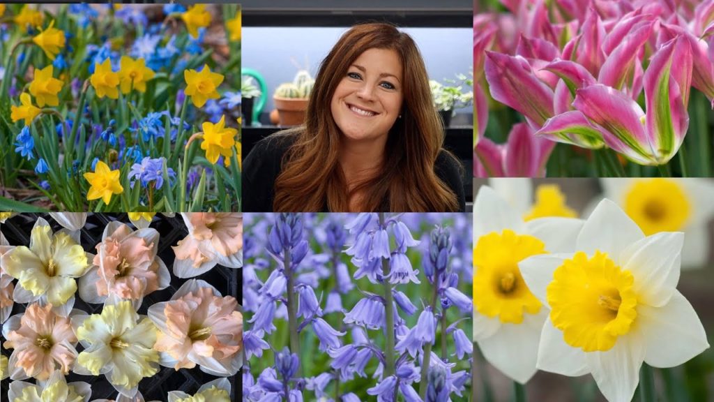 Garden Answer: My 2021 Bulb Order 🌿 // Garden Answer My 2021 Bulb Order 🌿 // Garden Answer